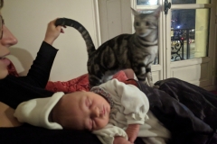Avec Finn