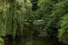 talala